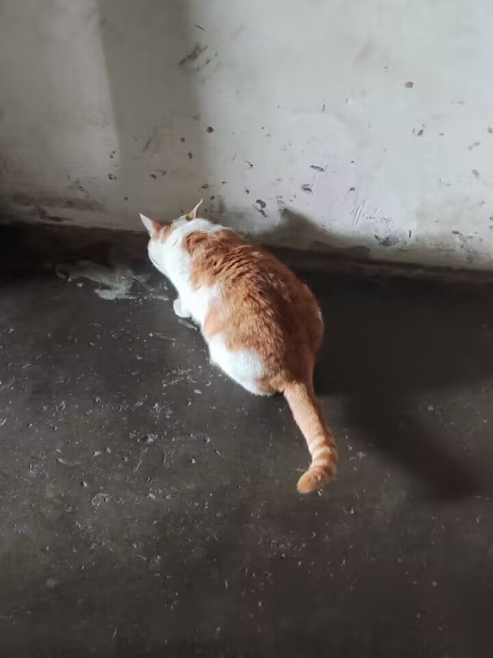 三汇