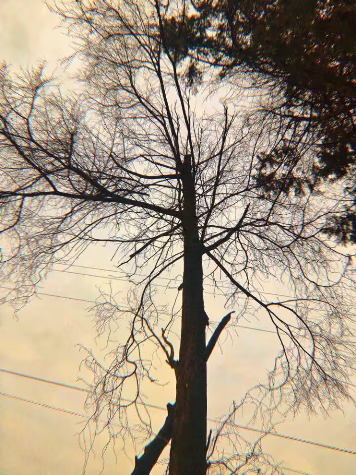 三汇